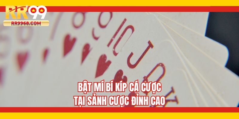 Bật mí bí kíp cá cược tại sảnh cược đỉnh cao