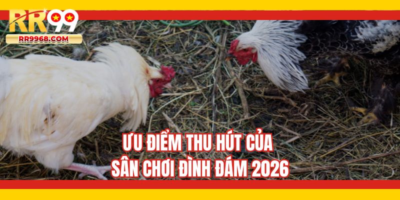 Ưu điểm thu hút của sân chơi đình đám 2026